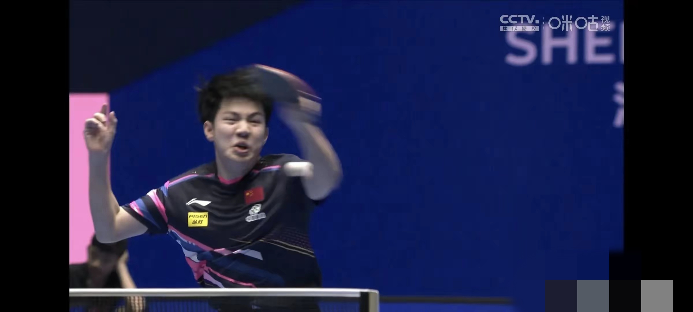 包含波兰乒乓球队绝杀韩国乒乓球队，张本智和高光表现的词条