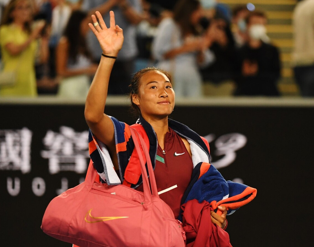 霍比迪安特击退对手，喜获胜利