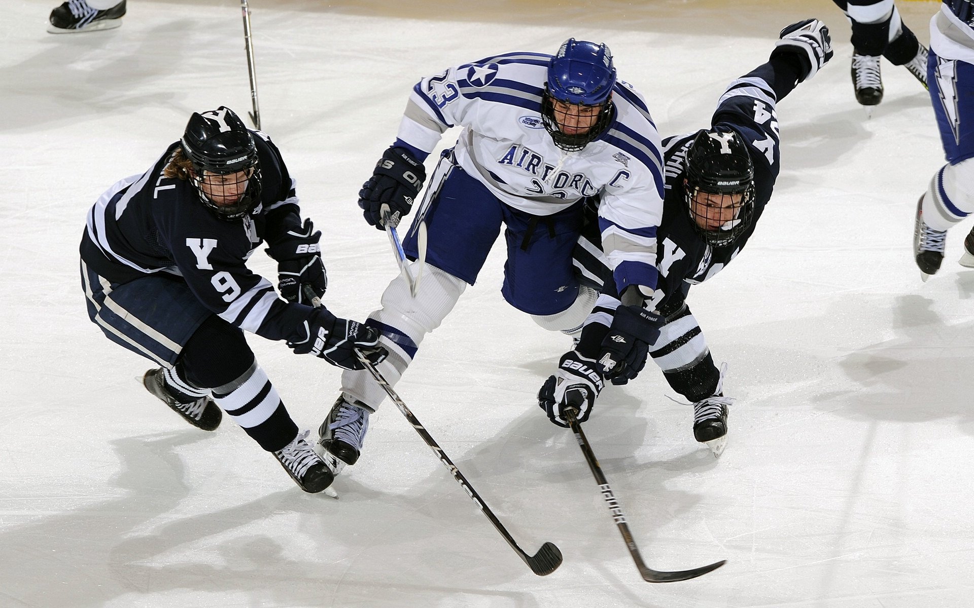 欧冠半决赛焦点战，鹈鹕强势晋级新疆队